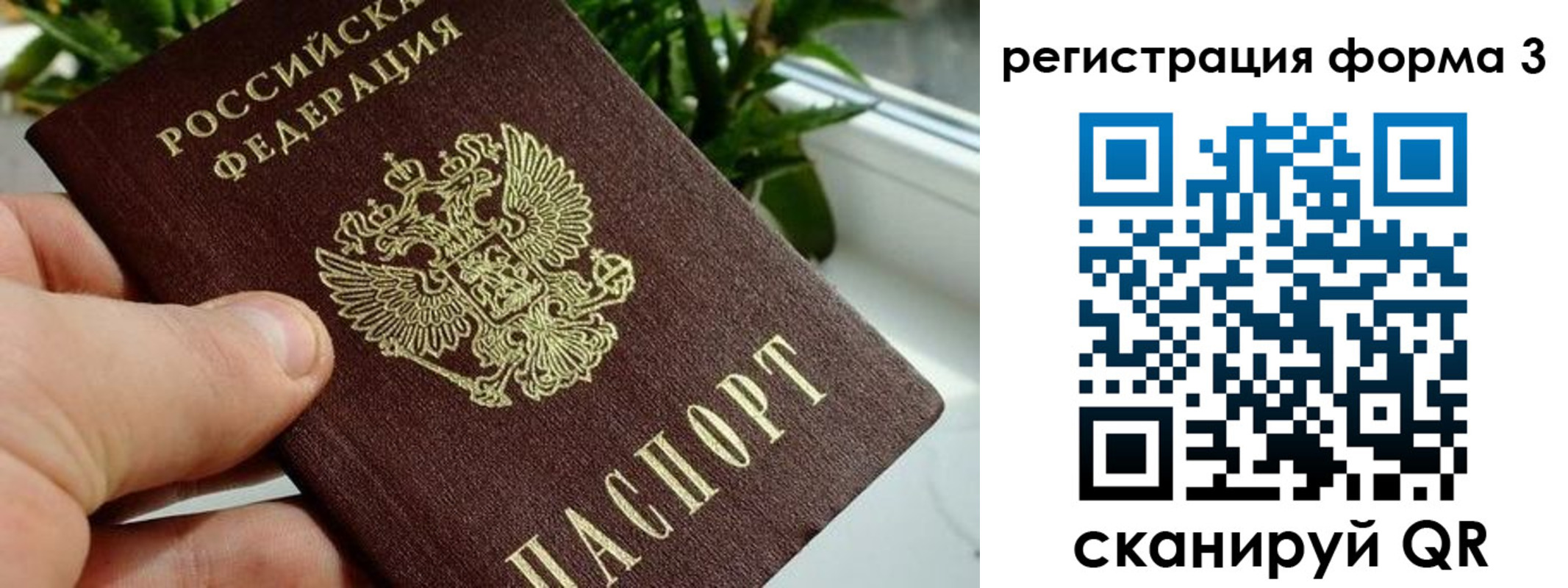 прописка штамп в Кяхте